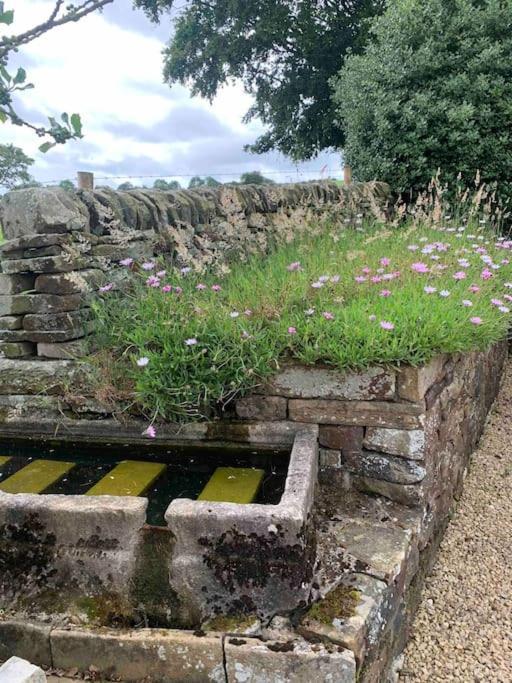 Ivy House Villa Longnor  Buitenkant foto